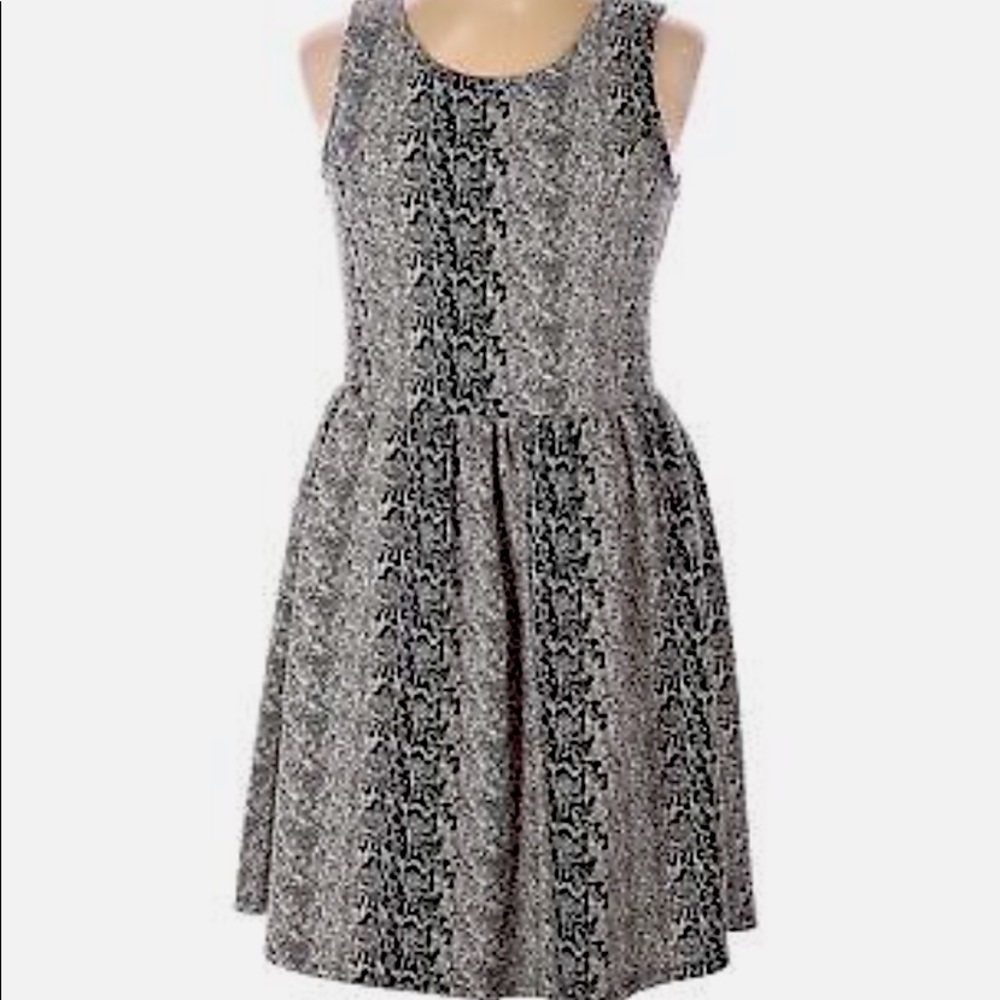 Jack by BB Dakota Dress